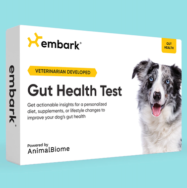 Gut Health Test